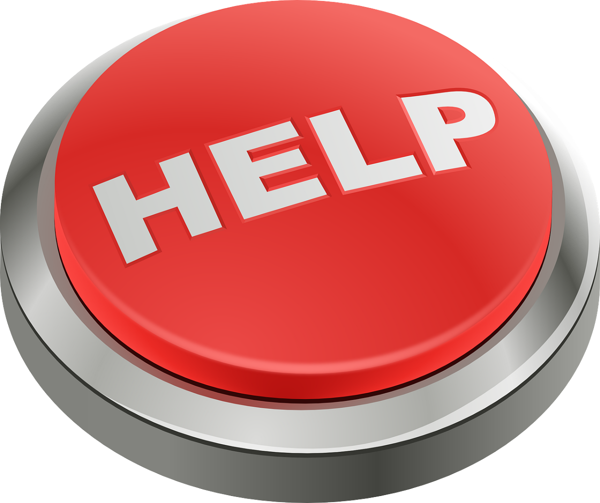 Help Button - Need Help (800x670), Png Download