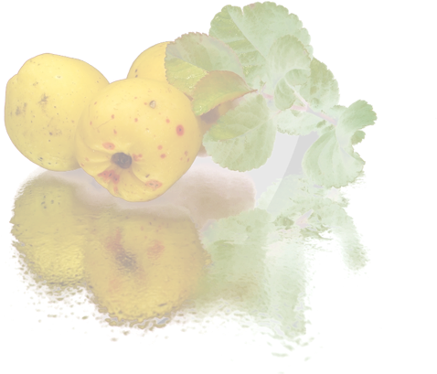 Pigwa - Soplica Pigwowa Quince Vodka (600x450), Png Download