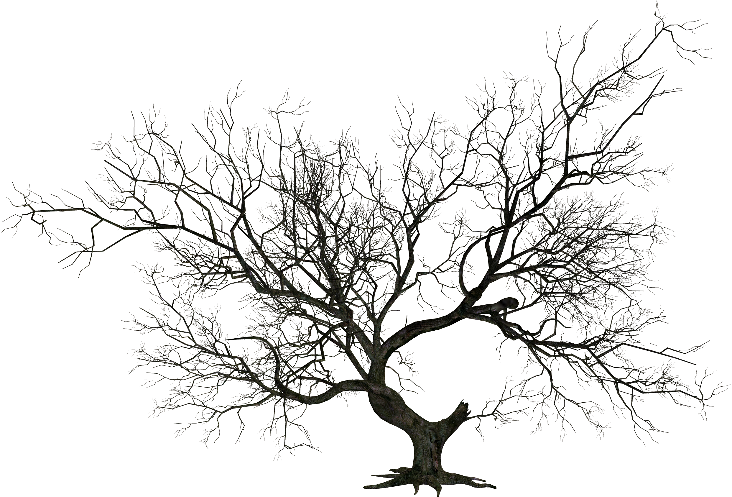 Png Halloween Tree - Halloween Tree Clip Art (2483x1685), Png Download