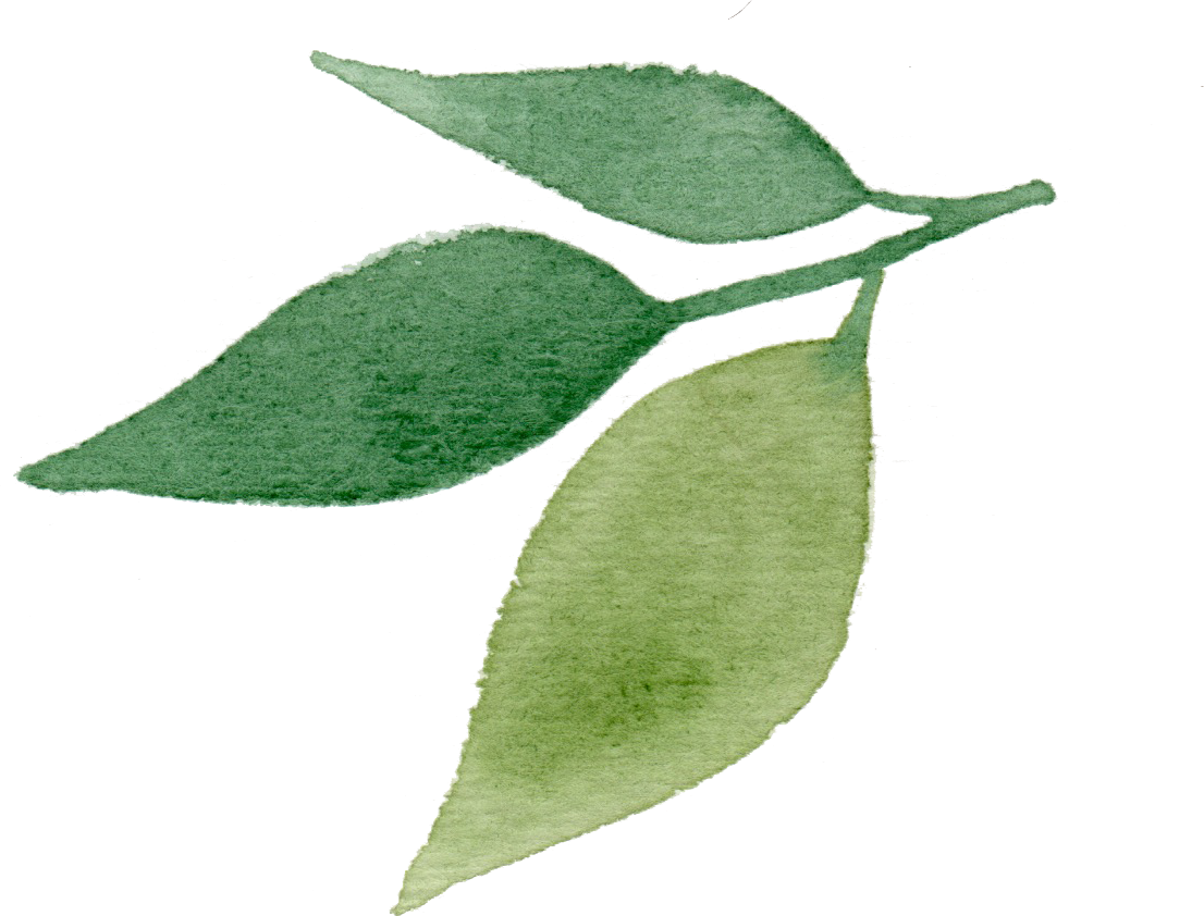 I Create Paper Goods With The Same Level Of Left Brained - Leaf (1106x842), Png Download