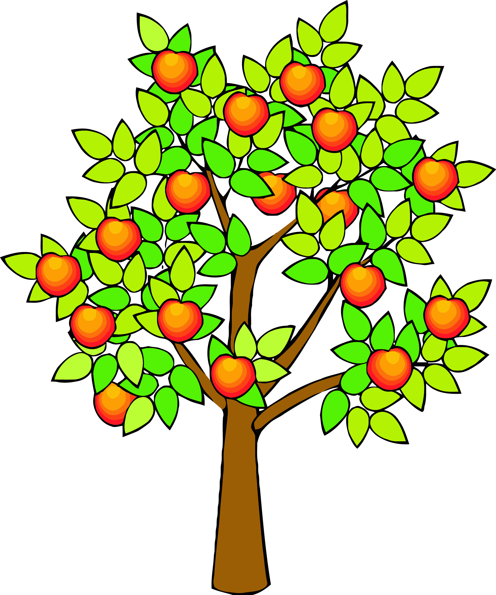 Spring Green Tree Clipart Png - Clip Art Fruit Trees (2043x2451), Png Download