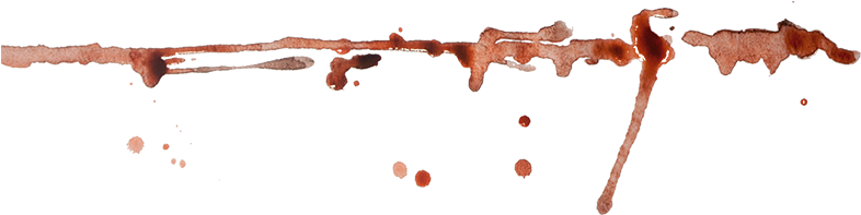 They Didn't Know Where The Ducks Were Going In The (800x214), Png Download