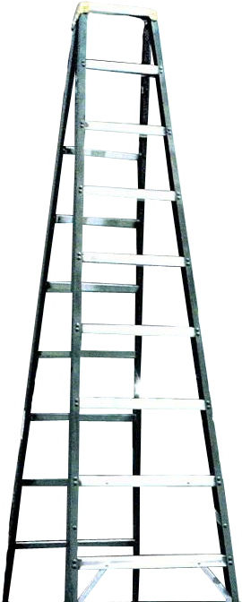 Блогът На Webwwe - Big Show Money In The Bank (288x681), Png Download