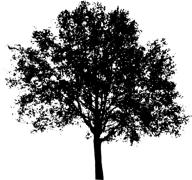 Black Tree Vector Png - Urban Rain Garden Design (640x602), Png Download