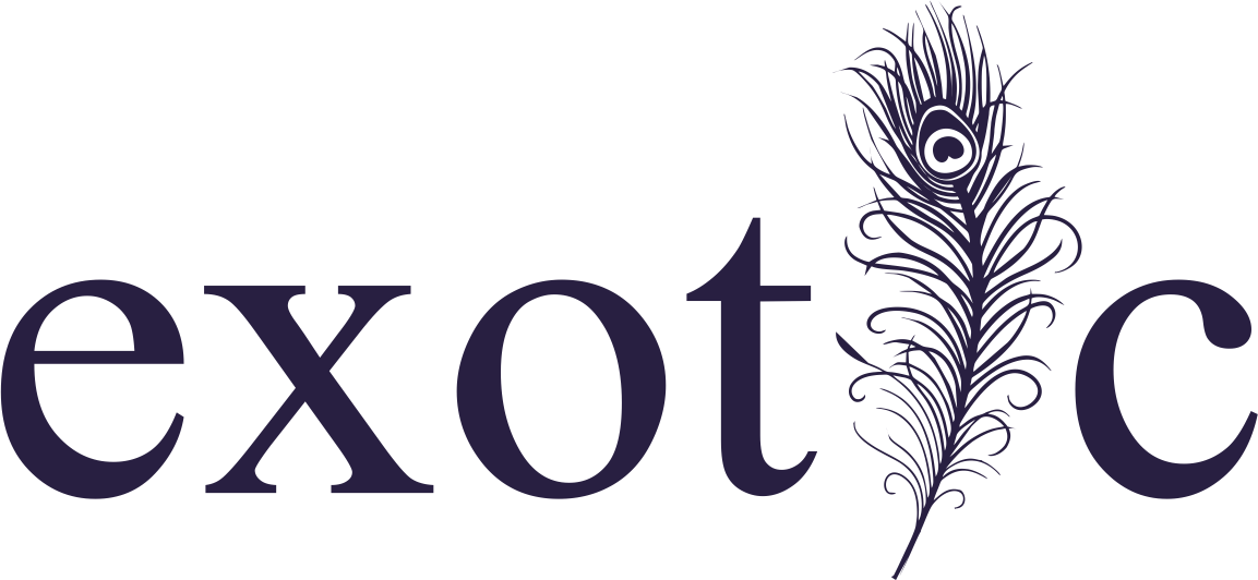 Packed Gift Box, Chocolate Box And Sweet Box, Dry Fruits - Exit International (1153x532), Png Download