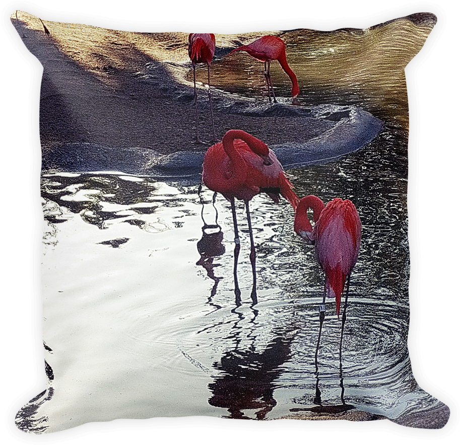 Flamingo " - Flamingo (1000x1000), Png Download