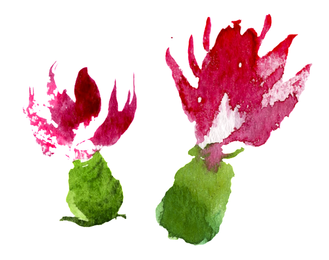 Watercolor Hand Painted Fruits And Vegetables Flowers - Watercolor Painting (1024x1024), Png Download