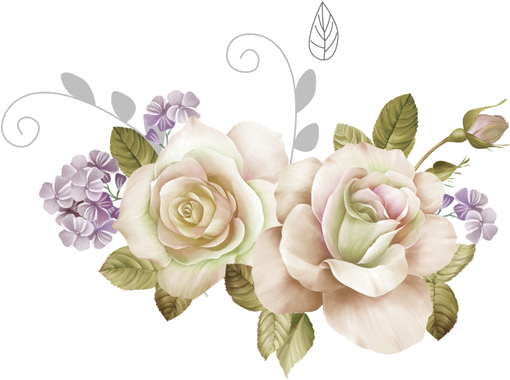 Png Imges Free Download - White Flower Png (576x405), Png Download