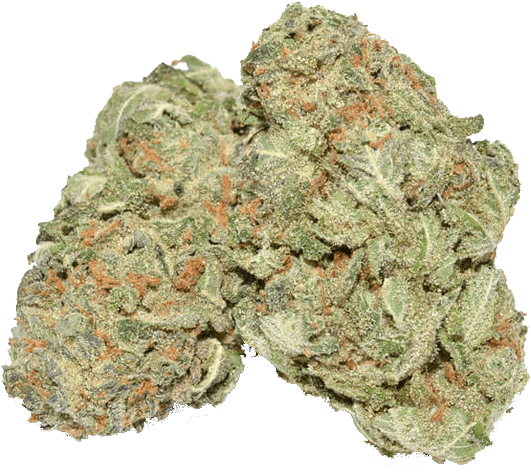 Buy Girl Scout Cookies Weed - Og Girl Scout Cookies (1000x1000), Png Download