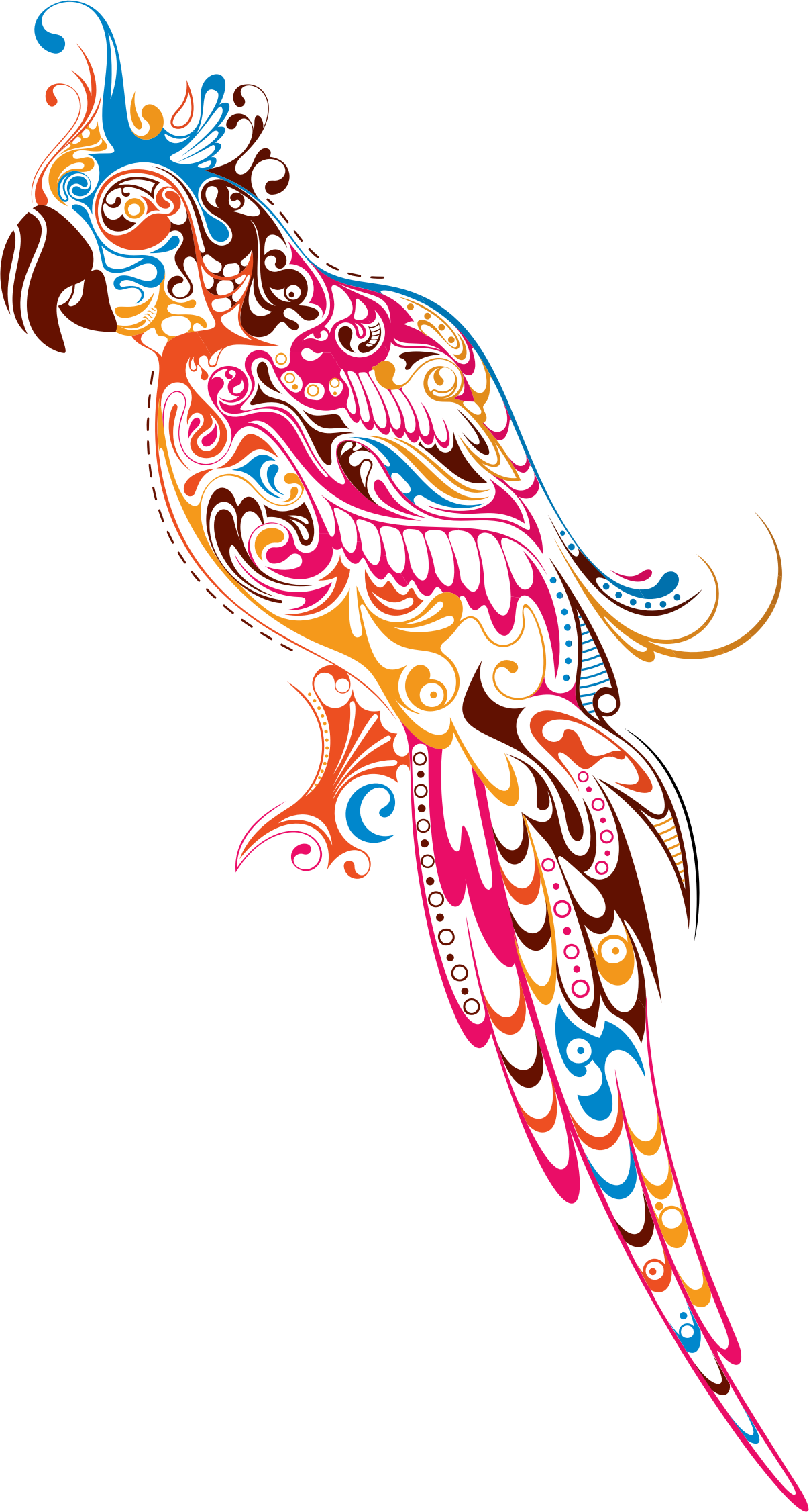Big Image - Colored Parrot Png (1206x2252), Png Download
