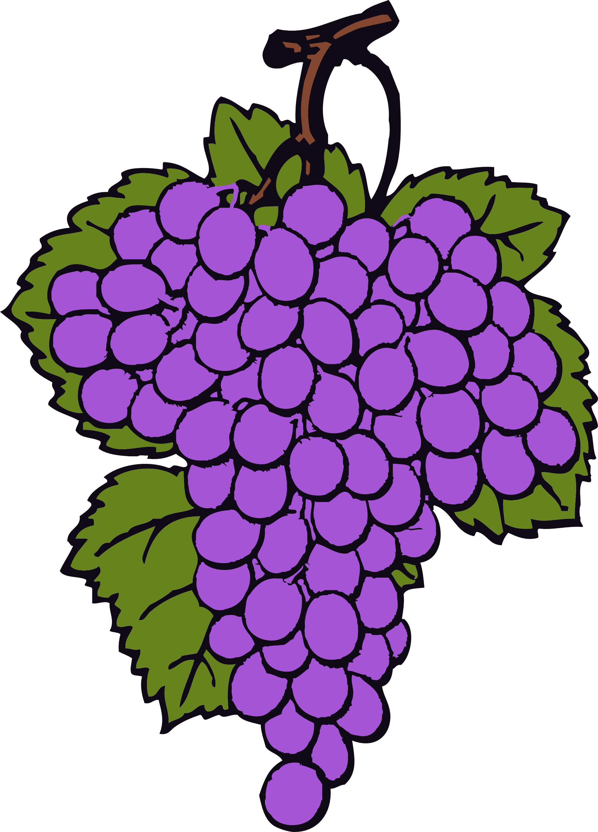 Grape Cluster Clip Art - Grapes Cliparts (426x592), Png Download
