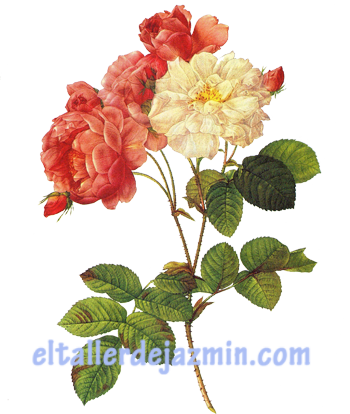 Rosas Shabby Chic - Iphone Wallpapers Rose Gold (350x414), Png Download