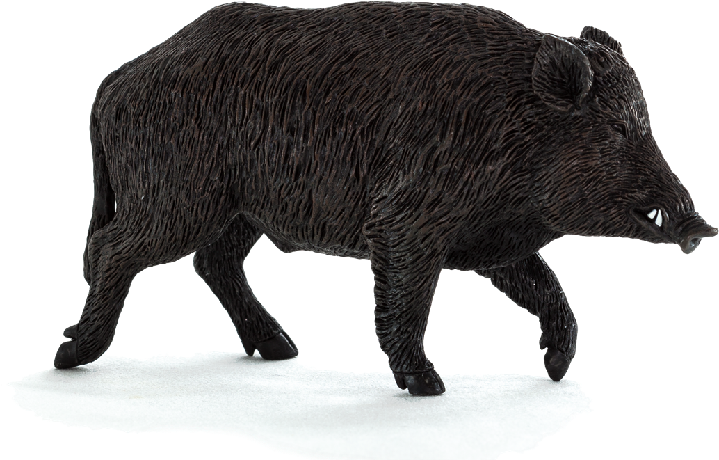Wild Boar Png File - Mojo Wild Boar (1200x756), Png Download