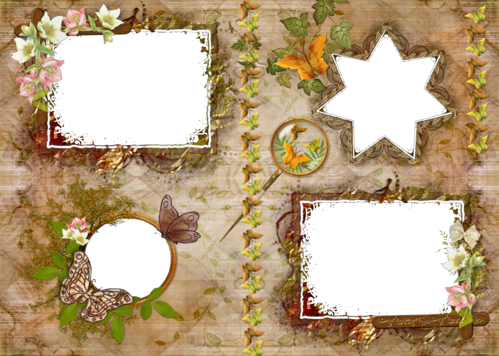 Fotomontajes Con Flores Rosadas Y Marcos Simples - Photography (1000x714), Png Download