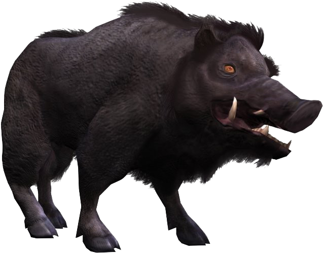 Wild Boar (1280x960), Png Download