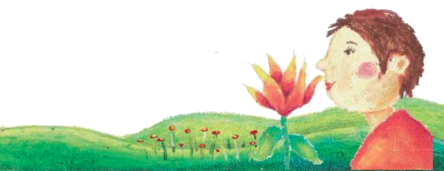 “quiero Ser Flor Como Tú, Para Sentirme Por Siempre - Illustration (902x348), Png Download