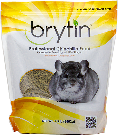 Chinchilla (560x627), Png Download