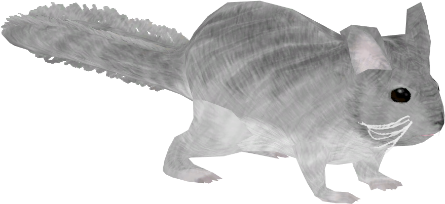 Long-tailed Chinchilla (877x877), Png Download
