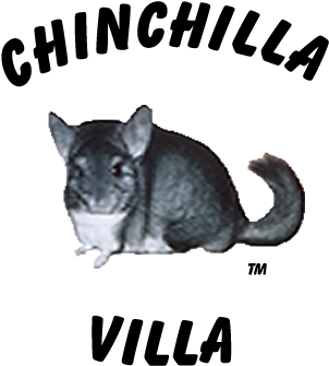 Chinchilla Villa - Chinchillas As Pets (360x360), Png Download
