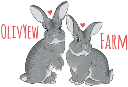 Rabbit (455x360), Png Download