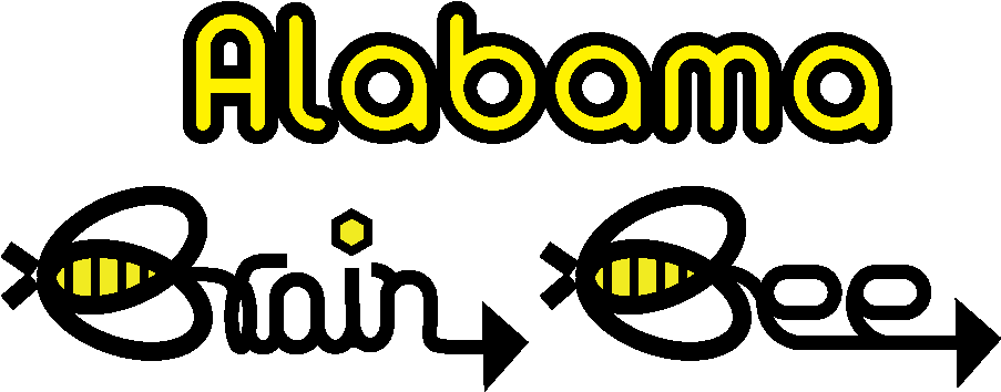 Brain Bee Logo - International Brain Bee (902x426), Png Download