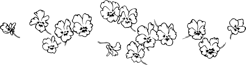 Medium Image - Floral Line Divider Png (800x214), Png Download