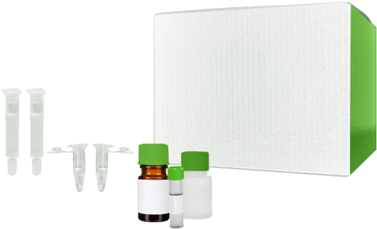 Invent Biotechnologies Minute™ Chloroplast Isolation - Natural Competence (580x435), Png Download