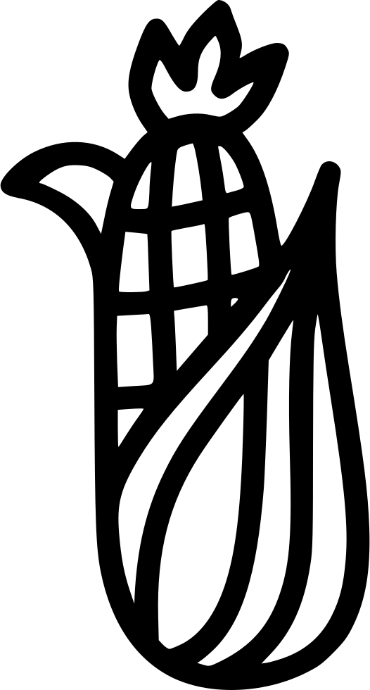 Vegetable Baby Corn Maize Plant Comments - Baby Corn (526x980), Png Download