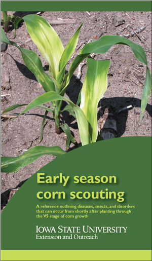 Grass (400x514), Png Download