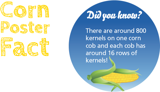 Planting Your Corn Seeds - Maize (600x304), Png Download