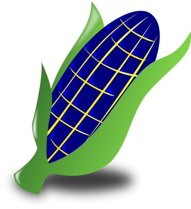 Blue Corn Svg Clip Arts 546 X 597 Px (546x597), Png Download