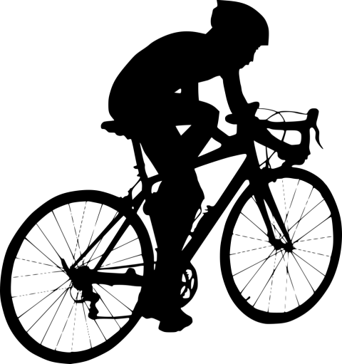 Free Png Bicycle Ride Png Images Transparent - Bicycle Ride (480x511), Png Download