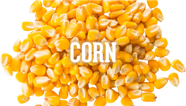 1256278786 - Maize (640x360), Png Download