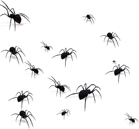 Membrane-winged Insect (480x480), Png Download