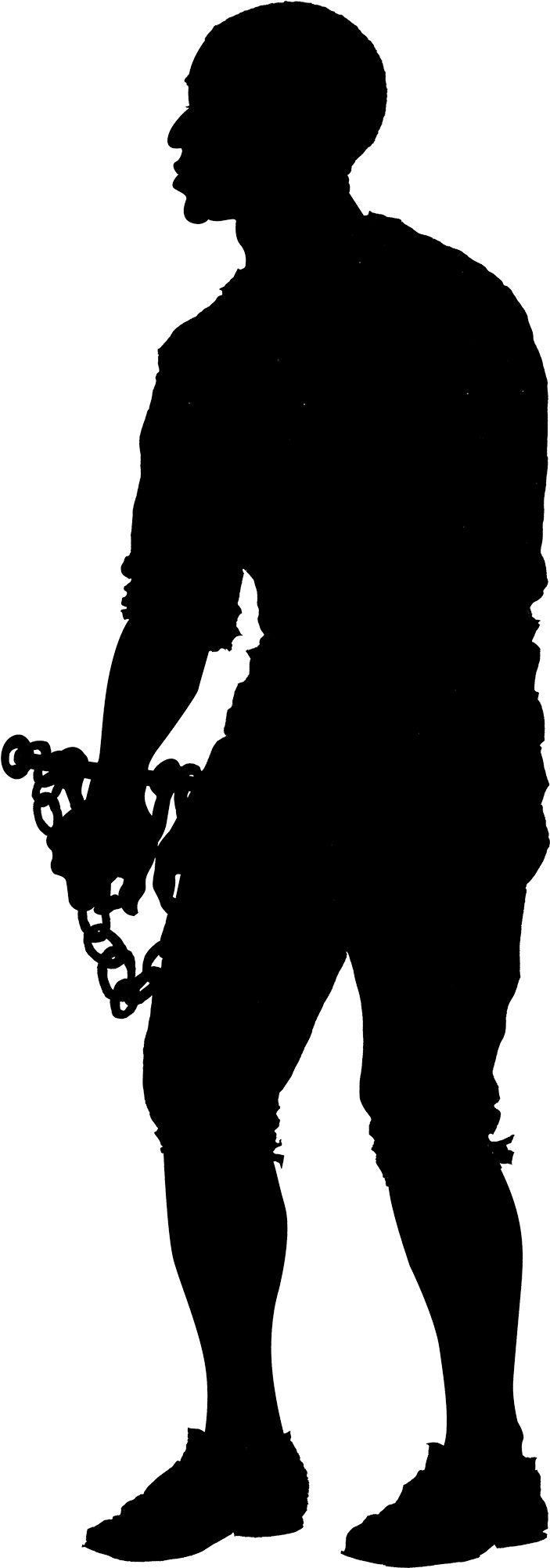 The Designs Were Based On Physical Descriptions And - Mount Vernon (1330x2000), Png Download