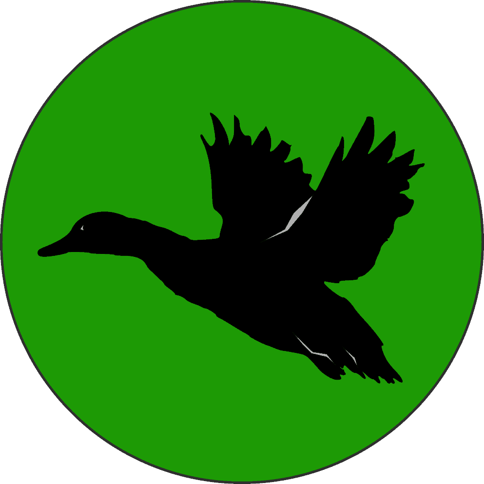 Field Trial - Duck Flying Cut Out (993x993), Png Download