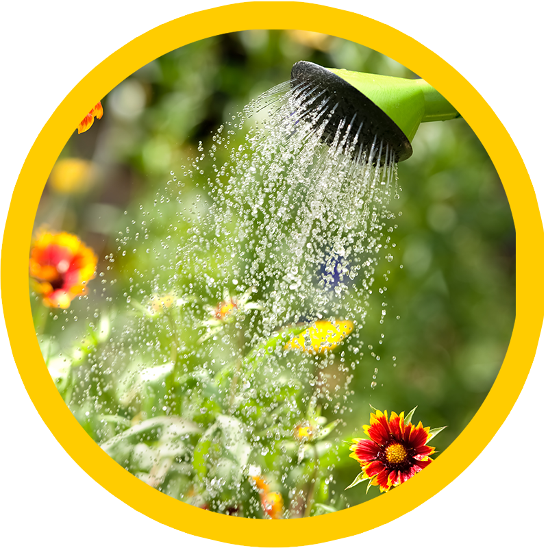 Get Involved - Use Of Water (800x800), Png Download