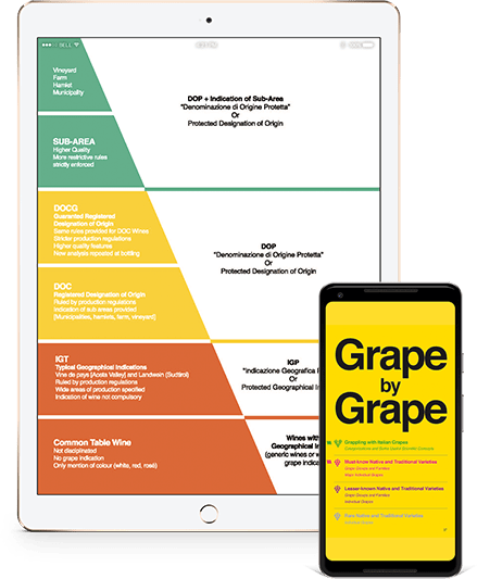 Order Your Copy Today - Mobile Phone (439x533), Png Download