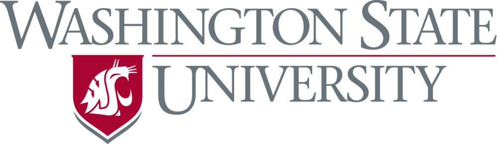 Wsu - Washington State U Logo (1000x290), Png Download