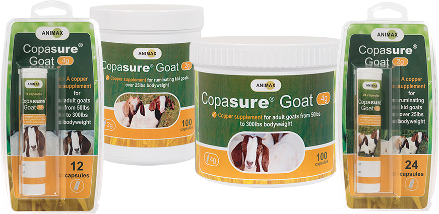 Product Spotlight - Mulch (880x520), Png Download