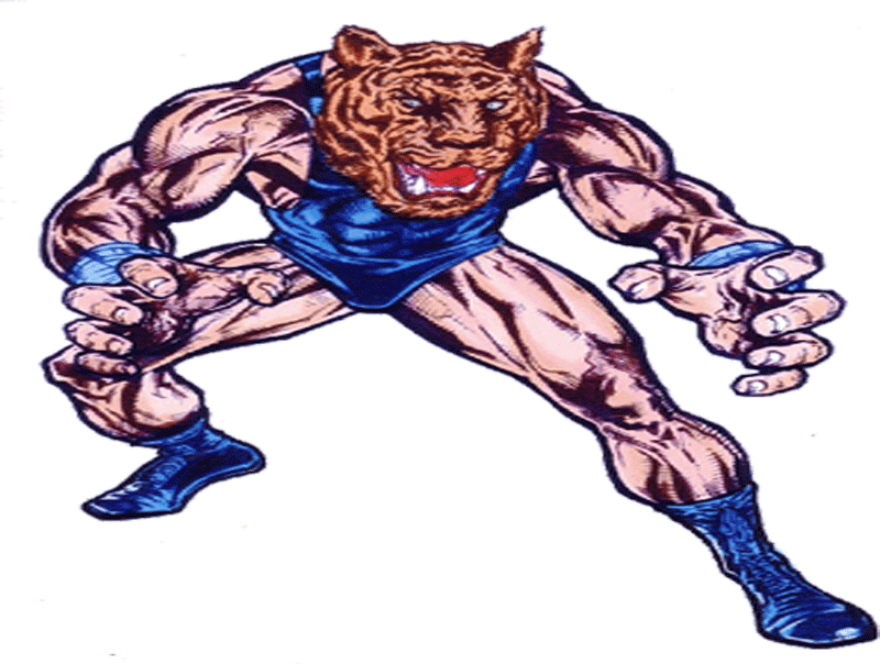 Tiger Man - Catch Wrestling Vs Judo (800x604), Png Download
