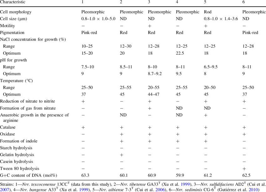Characteristics Of Natronorubrum Texcoconense Gen - Biochemical Characterization Of Lactic Acid Bacteria (850x614), Png Download