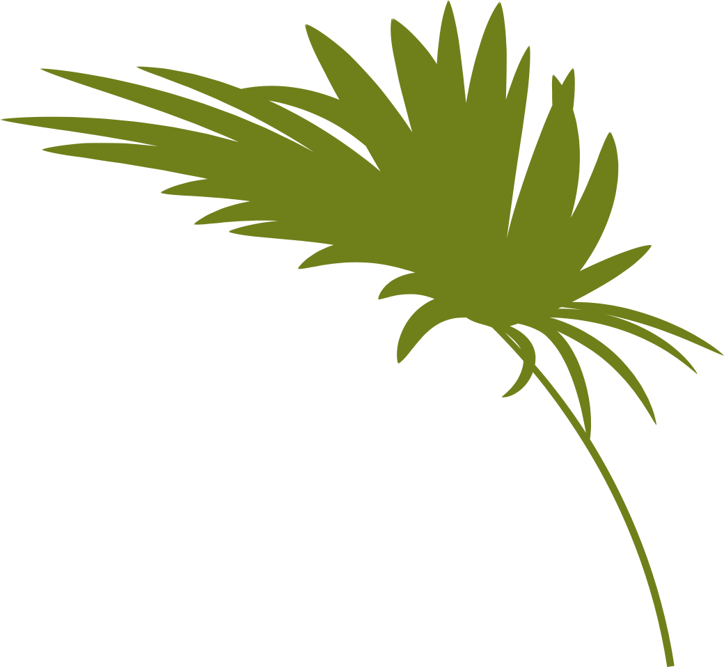 Office Tour - Parkway Dental Associates (1040x958), Png Download