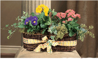 Living Basket - Basket (350x350), Png Download