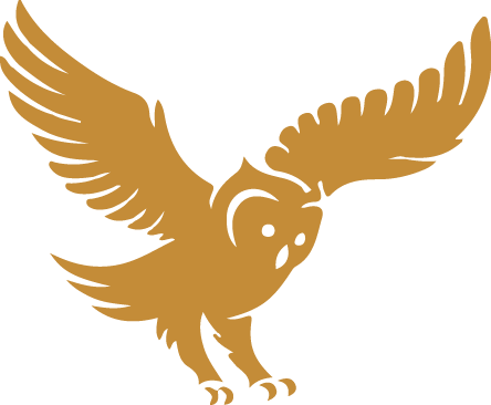 E Snell Owl Icon - Business (444x366), Png Download