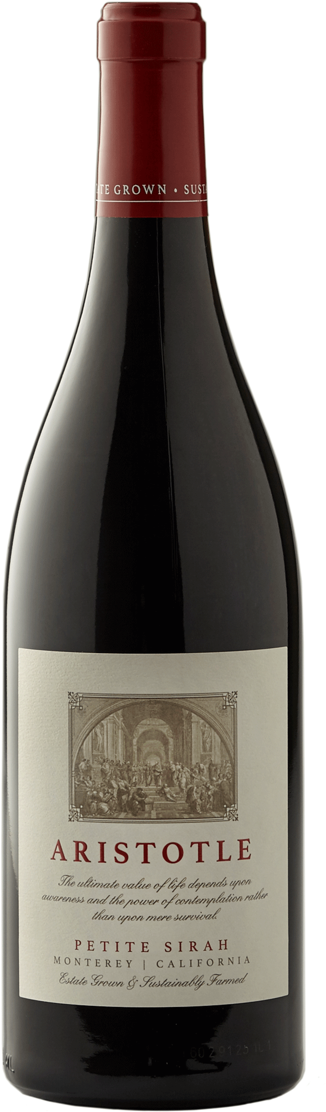 Bottle Image - Aristotle (776x2400), Png Download