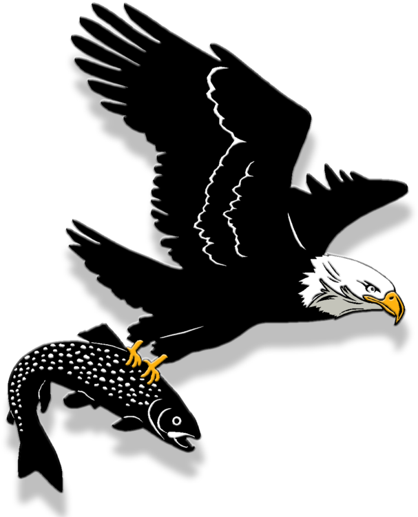 Bald Eagle (644x784), Png Download