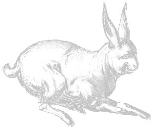 Lepus - Sketch (1024x1024), Png Download