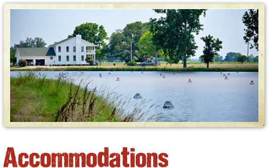 Days Inn Abbeville - Florence Club Louisiana (533x332), Png Download