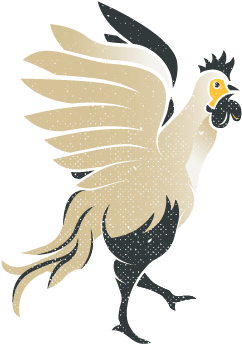 Chicken Illustration - Chicken (400x401), Png Download